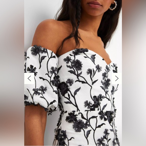 NWT Anthropologie Sabrina Puff-Sleeve Appliqué Mini Dress – Women’s Size 12 - Picture 4 of 7